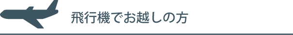飛行機